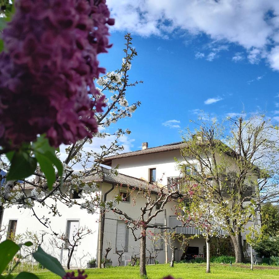 Appartment Lodged Mamma Maria Mattarello Exterior photo